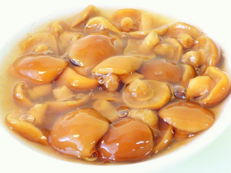 山形県小国町産なめこ【Mサイズ(中粒)6号缶】|たるまさ