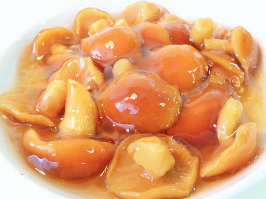 山形県小国町産なめこ【Pサイズ(小ひらき)6号缶】|たるまさ