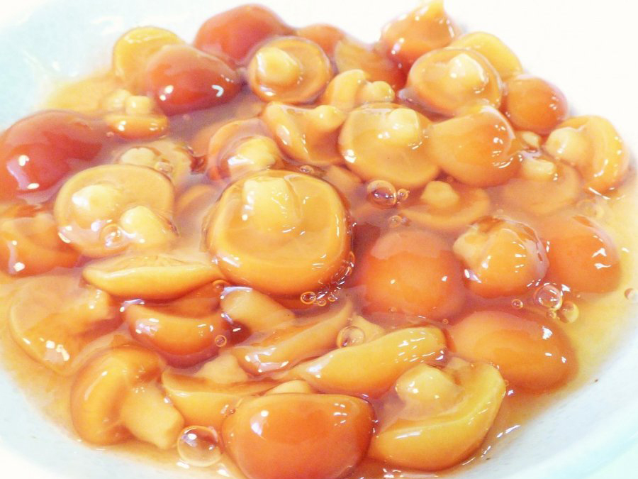 山形県小国町産なめこ【Sサイズ(小粒)6号缶】|たるまさ