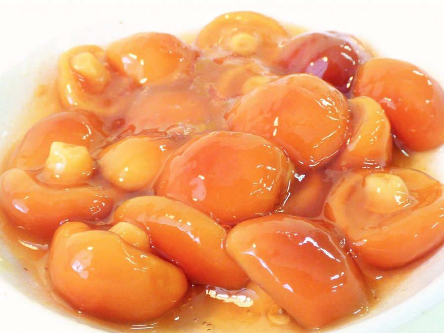 山形県小国町産なめこ【Lサイズ(大粒)6号缶】|たるまさ