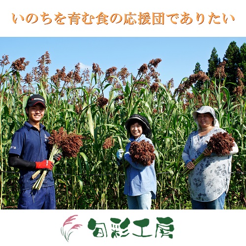 つまむ穀つぶ グリッシーニ(米粉)3個セット