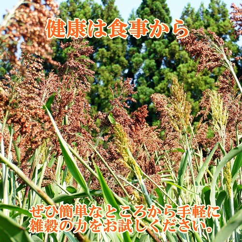 たかきびうどん(赤い乾麺)×３個セット　ネコポス送料無料