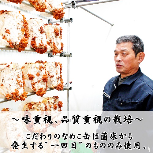 山形県小国町産なめこ【Pサイズ（小ひらき）6号缶】4個