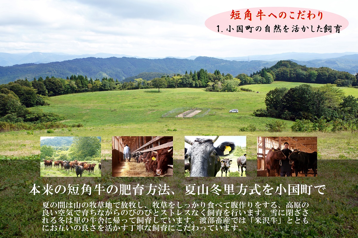 国産和牛　山形県産　小国産　短角牛(たんかくぎゅう)入り　ボロニアソーセージ(400g)×2袋(合計約800g)