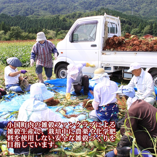 つぶつぶの雑穀を食べるあま酒セット