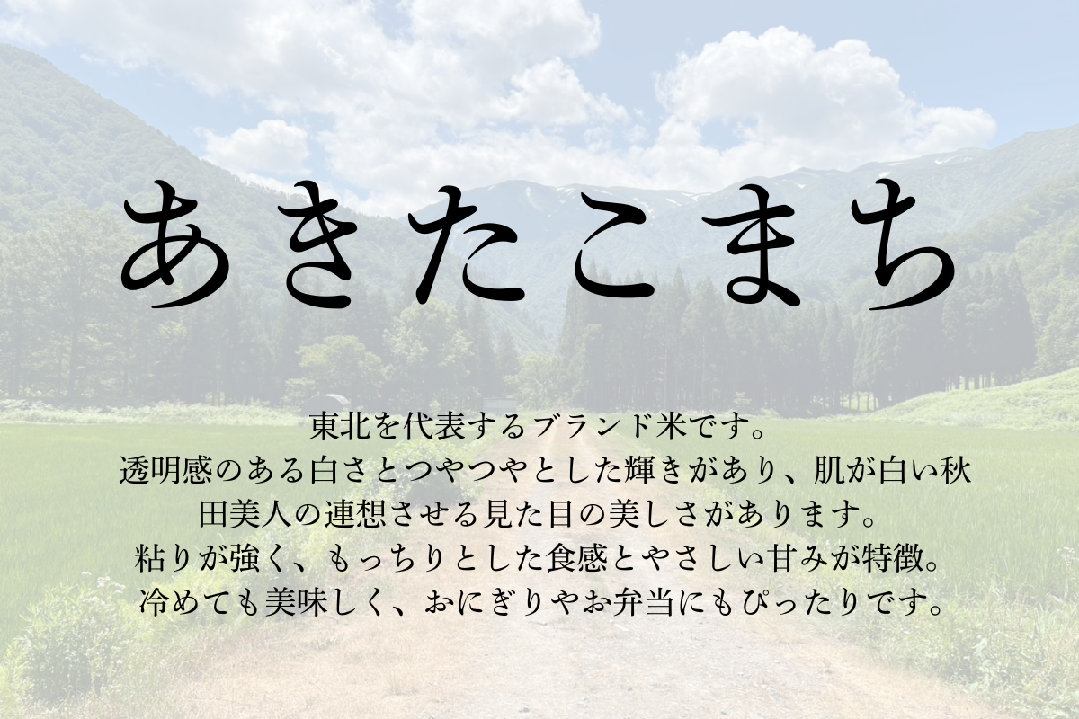 準備中 数量限定R7年産新米【あきたこまち5kg】
