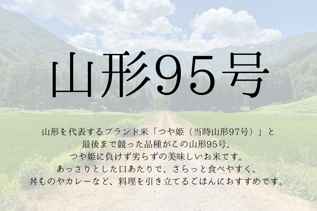 準備中 数量限定R7年産新米【山形95号2kg】