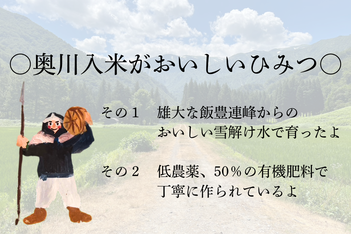 準備中 数量限定R7年産新米【山形95号2kg】