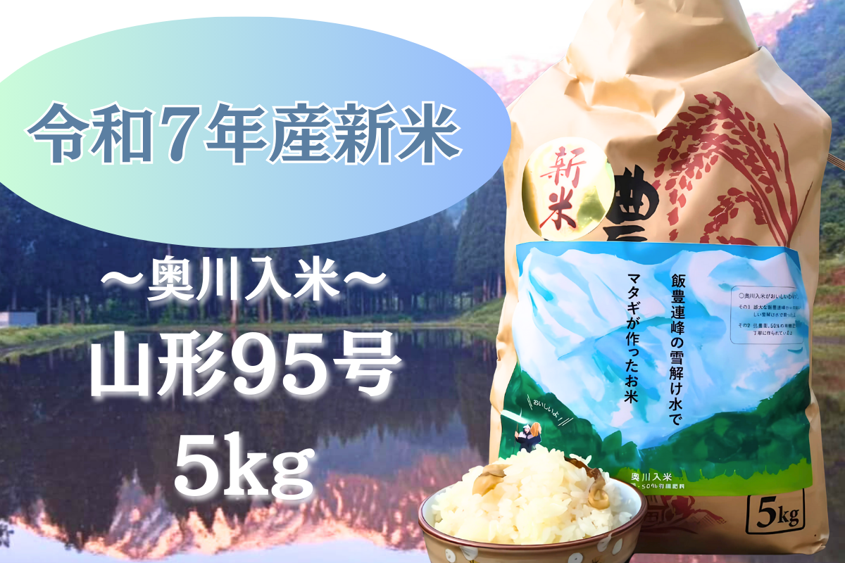 数量限定R7年産新米【山形95号5kg】